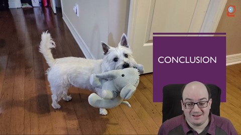 Automating my Dog with Azure Cognitive Services